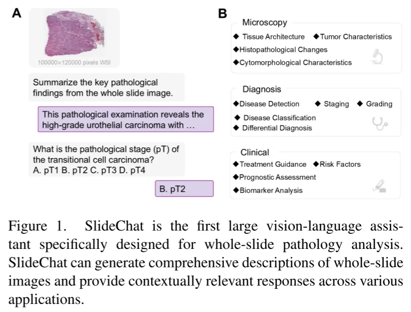 image-20250427233153789