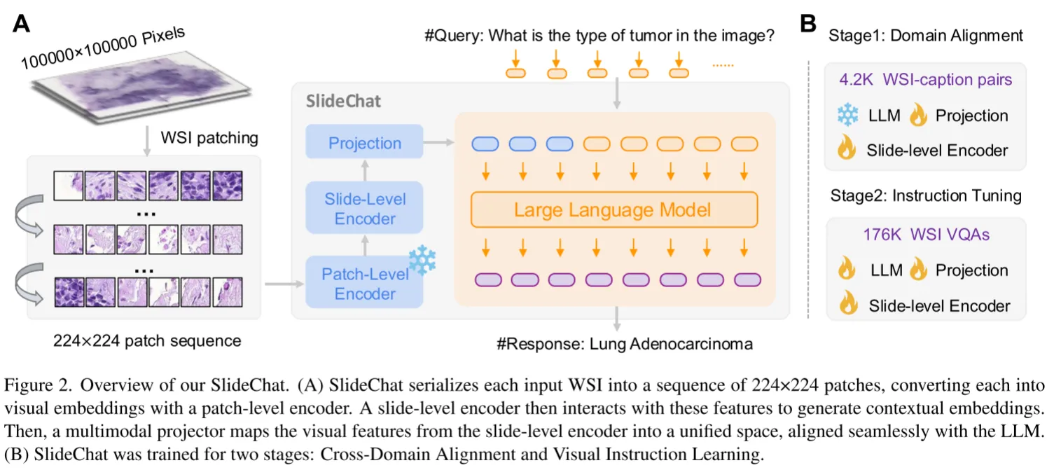 image-20250428191504801