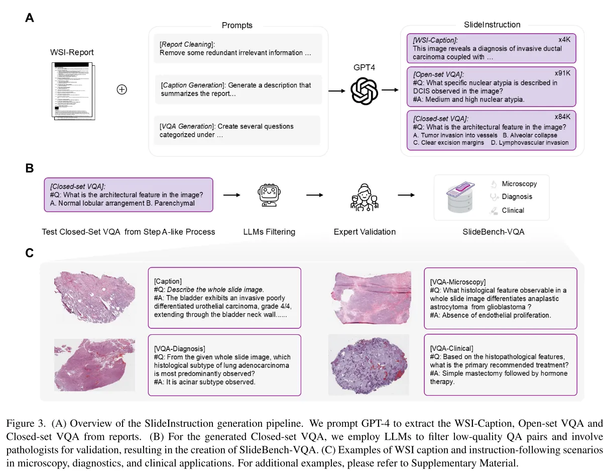 image-20250428200035157